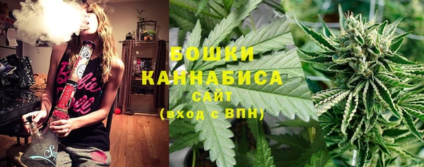 бутират Богородицк