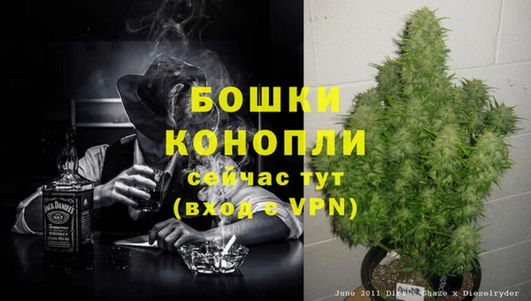 бутират Богородицк