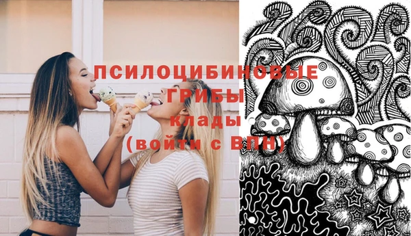 бутират Богородицк