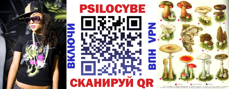Купить  Пестово  Псилоцибиновые грибы Psilocybine cubensis 